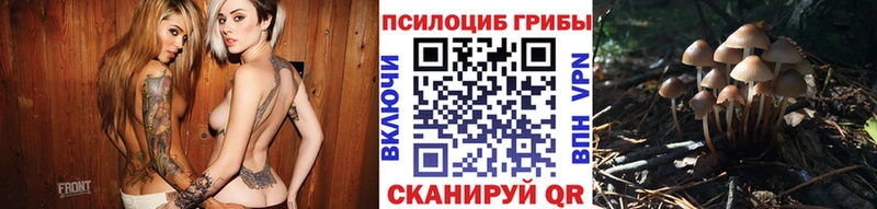 купить наркоту  Островной  площадка как зайти  Псилоцибиновые грибы прущие грибы 